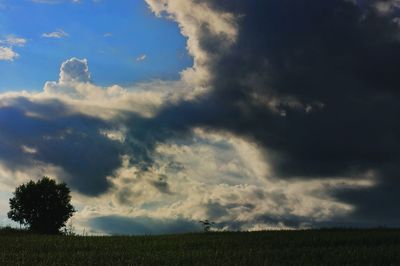 Scenic view of field against sky