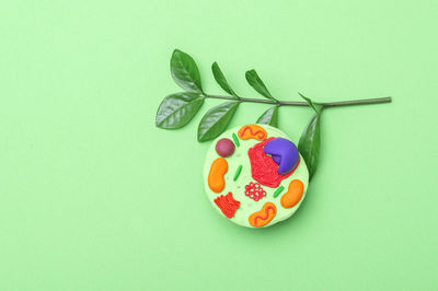 High angle view of multi colored candies on table