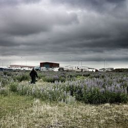 View of landscape against cloudy sky