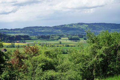 Scenic view of landscape against sky