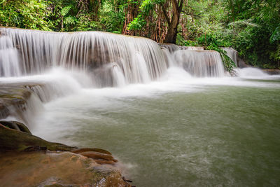 Scenic view of waterfall in forest