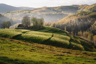 Scenic view of agricultural field against mountains