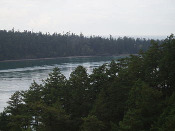 Scenic view of lake and trees against sky