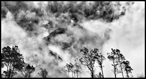 Low angle view of cloudy sky