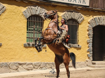 Horse cart in a building