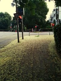 View of street lights on road