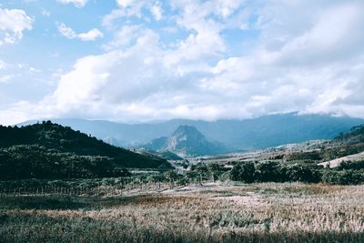 Scenic view of field against sky