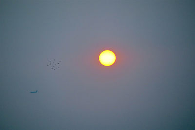 Low angle view of bird flying in sky