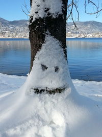 Snow covered tree trunk in front of sea against sky