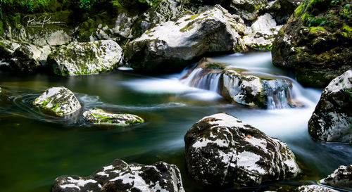 Scenic view of waterfall in forest