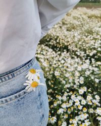 Midsection of person standing by white flowering plants