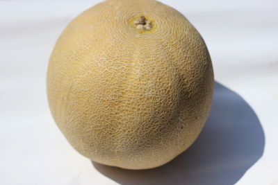 Close-up of lemon slice over white background