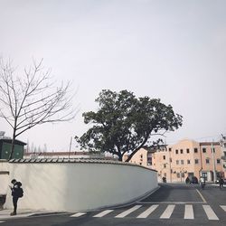 Trees in city against sky