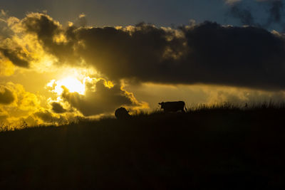 Scenic view of silhouette field against sky during sunset