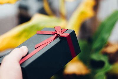Holding a gift box  scene about celebration / holiday season / birthday / christmas / valentain