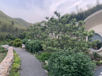 Trees and plants growing in garden against sky