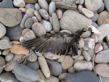 Close-up of pebbles on beach