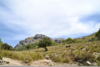 Scenic view of landscape against sky