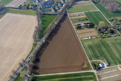 High angle view of agricultural field