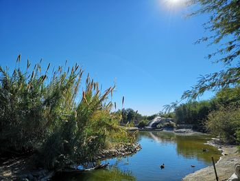 Scenic view of lake against clear blue sky