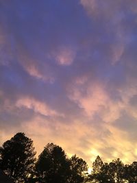 Low angle view of silhouette trees against sky