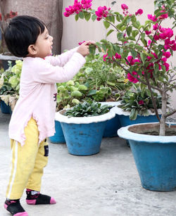 Side view of cute girl holding flower pot