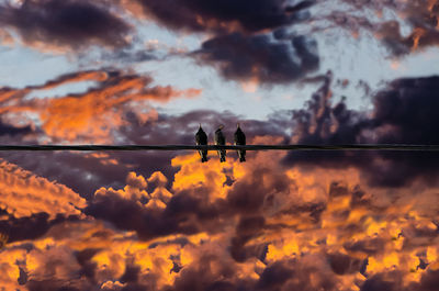 Low angle view of birds perching on cable against cloudy sky