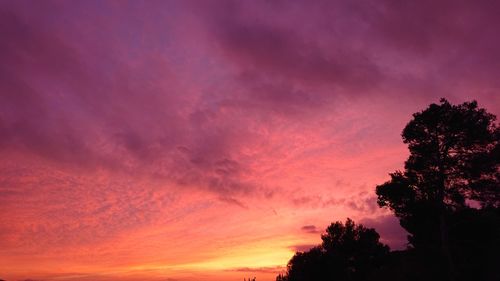 Low angle view of silhouette trees against dramatic sky