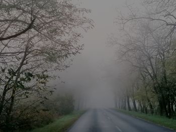 Country road amidst trees during foggy weather