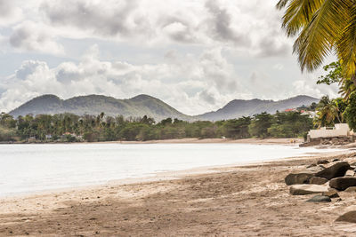Scenic view of beach against sky
