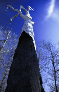 Low angle view of bare tree against blue sky