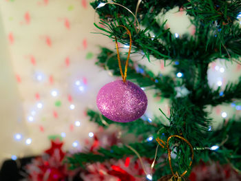 Close-up of christmas tree