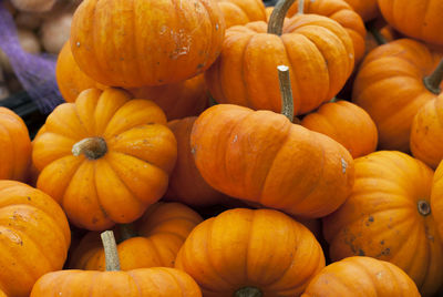 Close-up of pumpkins for sale at market stall