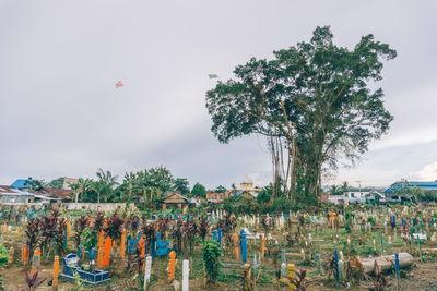 Crowd of tree against sky