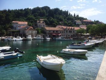 Boats moored in sea