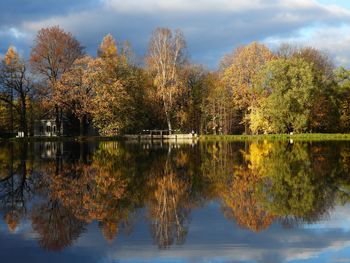 Trees by lake against sky during autumn