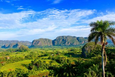 Scenic view of landscape against sky