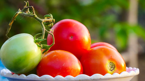 Close-up of fresh tomatoes