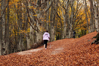 Rear view of woman walking in forest during autumn