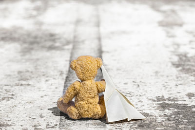 Teddy bear with paper airplane on street