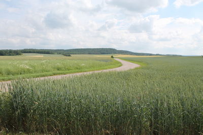 Scenic view of field against cloudy sky