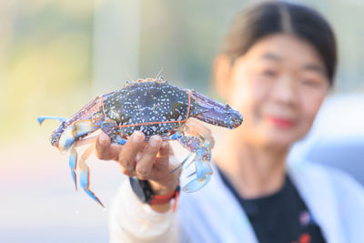 Cropped hand of man holding crab