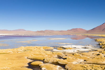 Scenic view of beach against clear blue sky