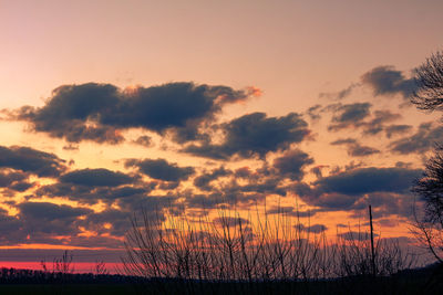 Silhouette plants against dramatic sky during sunset