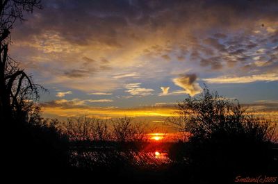 Silhouette trees against dramatic sky during sunset