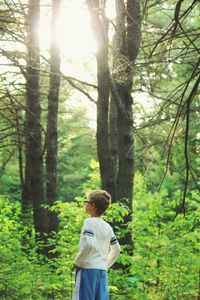 Trees in forest