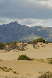 Scenic view of desert against sky