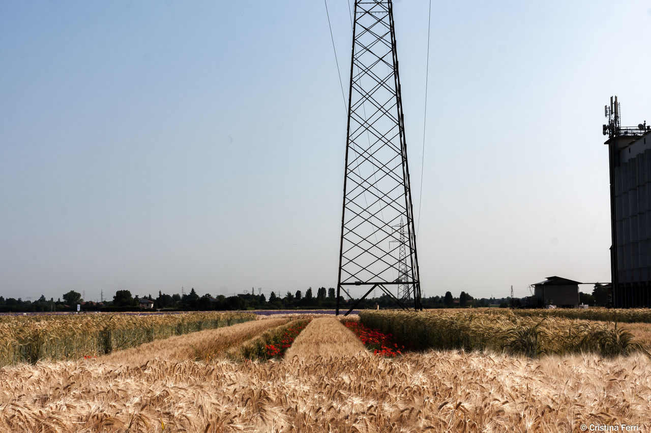 VIEW OF RURAL LANDSCAPE