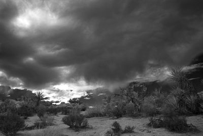 Scenic view of landscape against cloudy sky