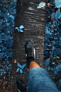 Low section of man standing on ground